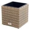 Ploß Rabida Pflanzgefäß, Champagner-meliert, Polyrattan, Kubisch, 28x28x28 Cm, Kunststoffeinsatz -Ausgewählte Geschäfte Für Garten- Und Outdoor-Produkte 1 20151.jpg