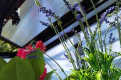 OUTFLEXX Gewächshaus, Schwarz, Alu/Polycarbonat, 91x51x168cm, Pulverbeschichtet -Ausgewählte Geschäfte Für Garten- Und Outdoor-Produkte 22274 13.jpg