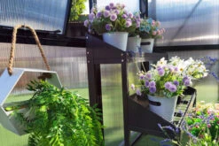 OUTFLEXX Gewächshaus, Schwarz, Alu/Polycarbonat, 309x355x272cm, Pulverbeschichtet -Ausgewählte Geschäfte Für Garten- Und Outdoor-Produkte 22275 14.jpg