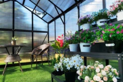 OUTFLEXX Gewächshaus, Schwarz, Alu/Polycarbonat, 433x250x228cm, Pulverbeschichtet 20 OUTFLEXX Gewächshaus, Schwarz, Alu/Polycarbonat, 433x250x228cm, Pulverbeschichtet -Ausgewählte Geschäfte Für Garten- Und Outdoor-Produkte 22280 8.jpg