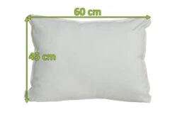 OUTFLEXX Dekokissen, 10014 Nature, Sunbrella, 60 X 45 Cm, Bei 40 °C Waschbar, Z.B. Passend Zu Lounge 21865/23403 7 OUTFLEXX Dekokissen, 10014 Nature, Sunbrella, 60 X 45 Cm, Bei 40 °C Waschbar, Z.B. Passend Zu Lounge 21865/23403 -Ausgewählte Geschäfte Für Garten- Und Outdoor-Produkte 23456 mass.jpg