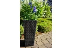 Neue Produkte -Ausgewählte Geschäfte Für Garten- Und Outdoor-Produkte 2 18199.jpg