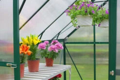 OUTFLEXX Gewächshaus, Grün, Alu/Polycarbonat, 6mm, Inkl. Fundament, Pulverb. 258 X 195 X 205 Cm -Ausgewählte Geschäfte Für Garten- Und Outdoor-Produkte 3 13757.jpg