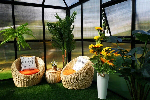 OUTFLEXX Gewächshaus, Schwarz, Alu/Polycarbonat, 295x295x270 Cm, Pulverbeschichtet 5 OUTFLEXX Gewächshaus, Schwarz, Alu/Polycarbonat, 295x295x270 Cm, Pulverbeschichtet – Bild 3