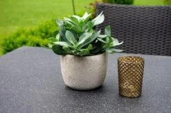 Ploß Rocking Dining Tisch, Grau/braun-meliert, Polyrattan, 90 X 90 Cm, Glasplatte In Steinoptik -Ausgewählte Geschäfte Für Garten- Und Outdoor-Produkte 4 20156.jpg