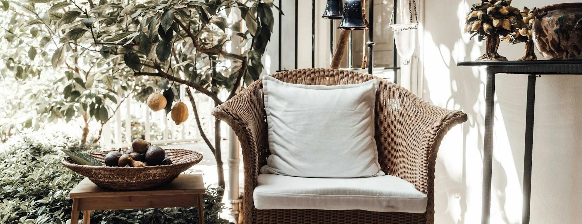 Ausgewählte Geschäfte Für Garten- Und Outdoor-Produkte -Ausgewählte Geschäfte Für Garten- Und Outdoor-Produkte pexels furkanfdemir 6310587 1